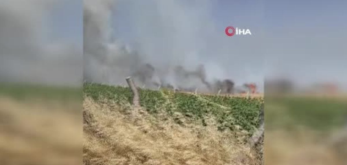 Silivri Seymen’de elektrik direği kesimi yangına yol açtı, tarım arazileri zarar gördü