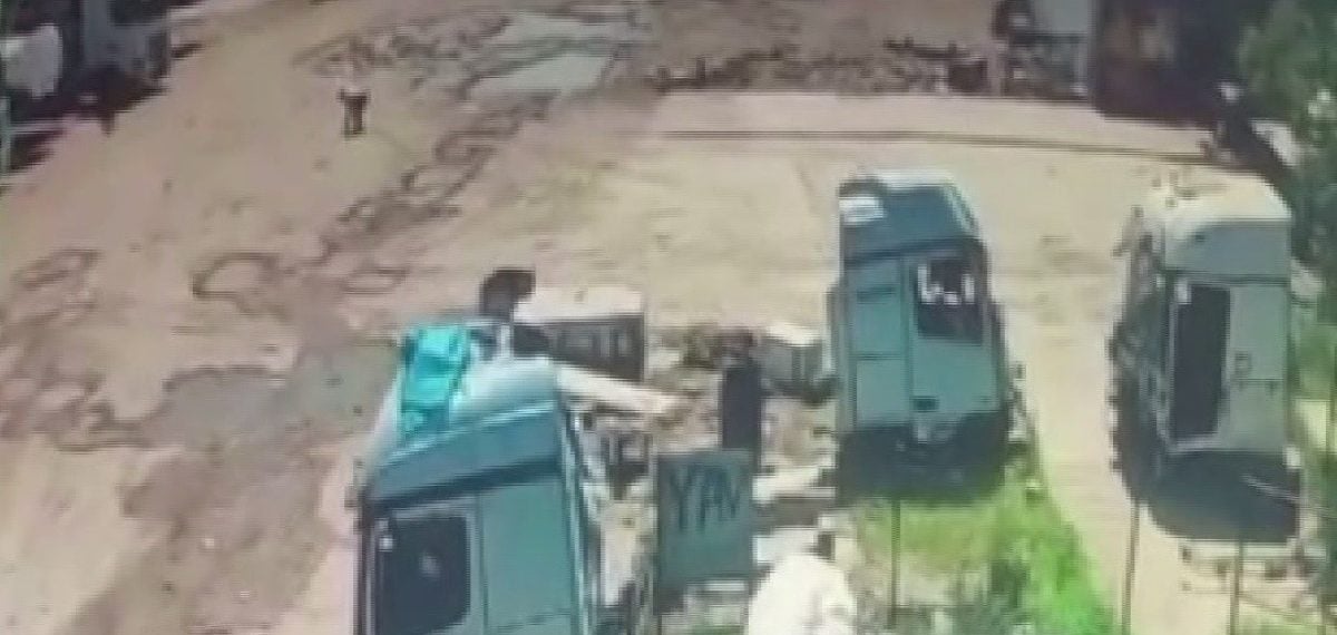 Silopi’de başıboş köpekler yaşlı adama saldırdı, taşlarla kendini savundu