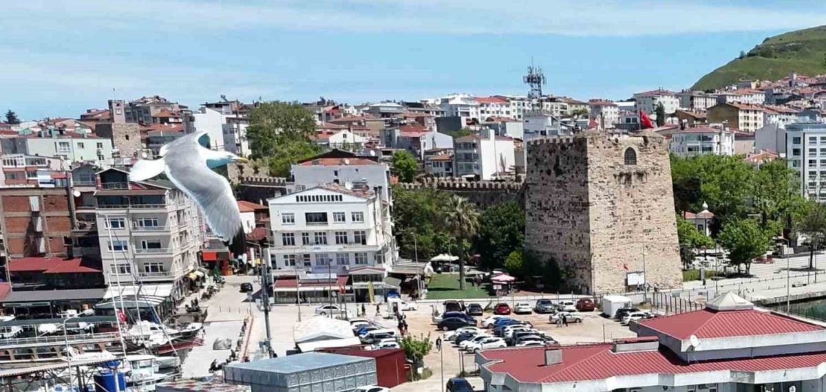 Sinop’ta trafiğe kayıtlar arttı; motosiklet yeni kayıtların çoğunu oluşturdu