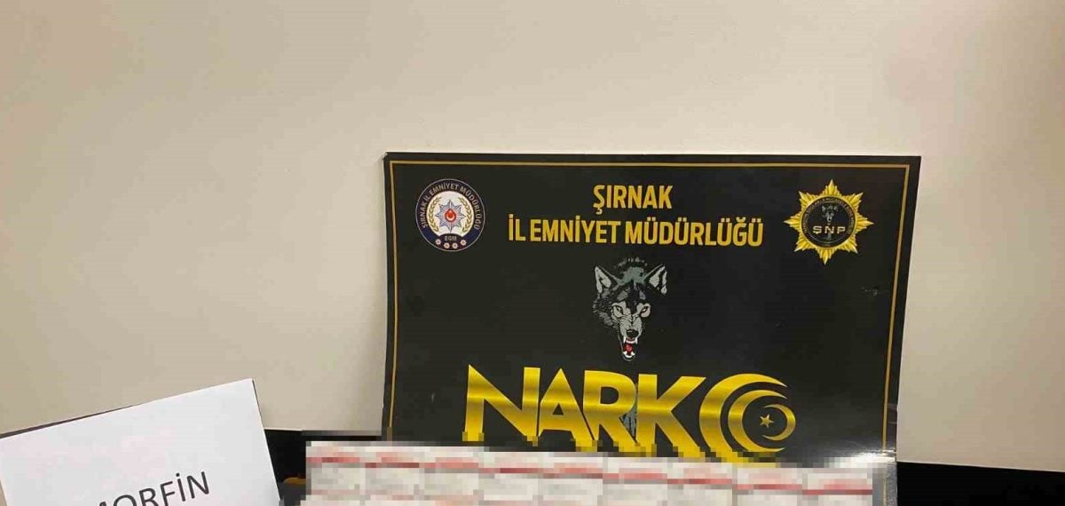 Şırnak’ta kaçakçılık ve uyuşturucu operasyonlarında 1,95 milyon liralık ele geçirme