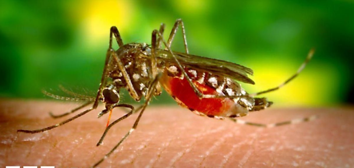Sri Lanka deploys drones as dengue surge overwhelms health services