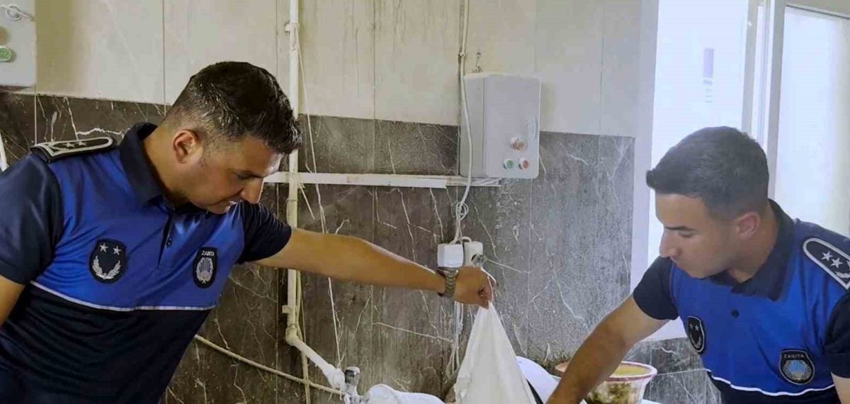 Tarsus’ta denetimde 660 kg hamur haşere nedeniyle imha edildi, 17 ceza uygulandı