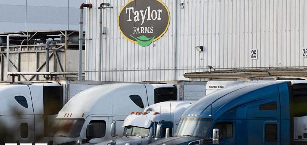 Taylor Farms iceberg lettuce tests positive for Cyclospora, not in current recall