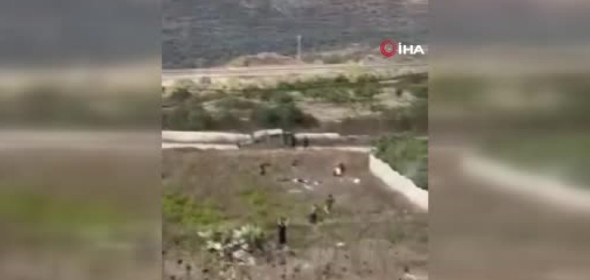 Tel köyünde aynı aileden 4 kişi yakın mesafeden vurularak öldürüldü