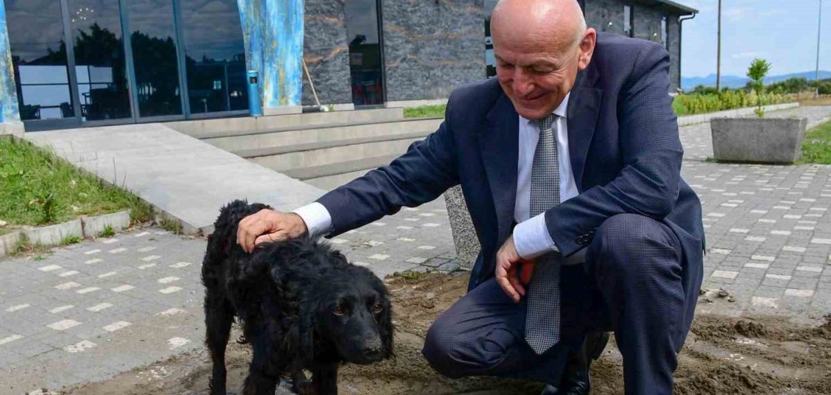 Terme’de bin kapasiteli Hayvan Bakımevi ve Doğal Yaşam Alanı inşaatı hızlandı