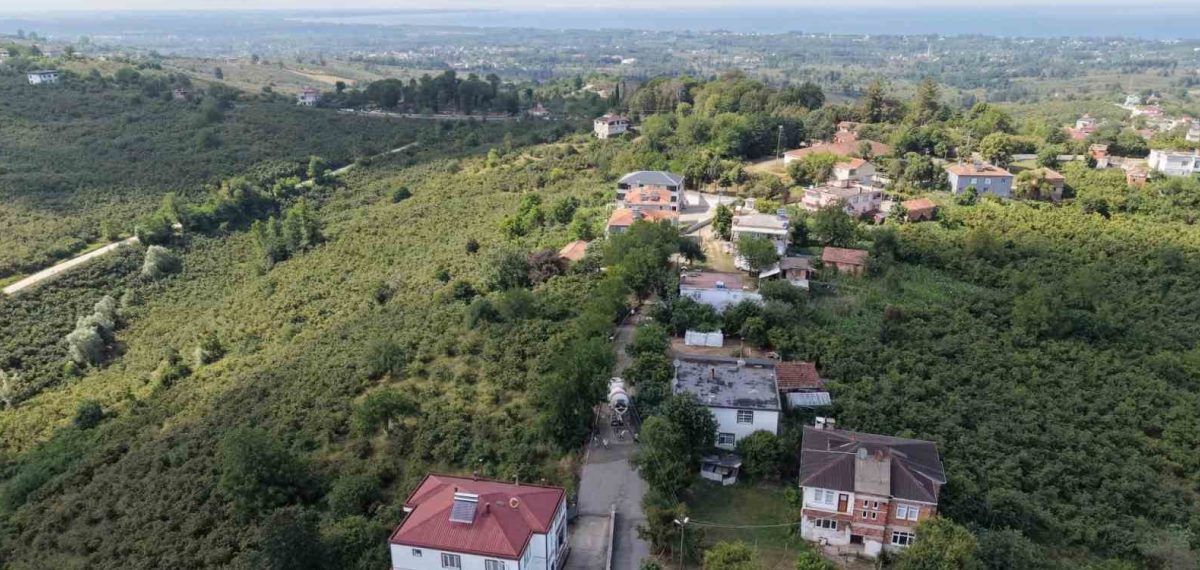 Terme’de yol seferberliği: 1 milyar liralık altyapı ve beton yol çalışmaları