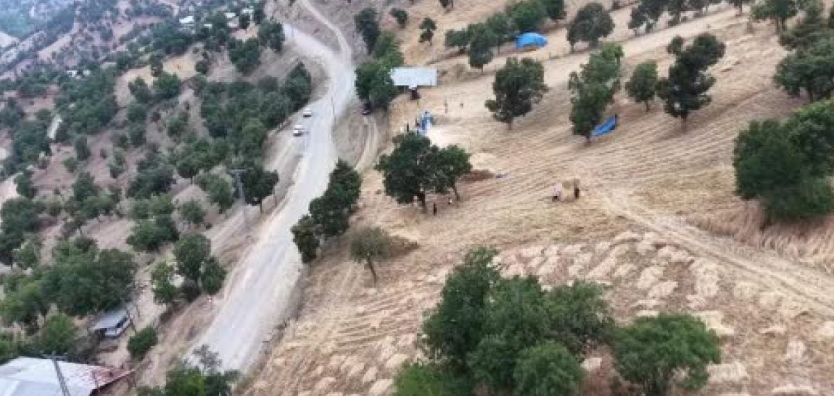 Toros zirvesinde ellik ve orakla hasat sürüyor kışlık buğday imecesi