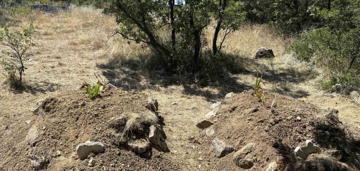 Tosya’da kiraz yedikten sonra ölen çiftin çevresinde belirsizlik sürüyor
