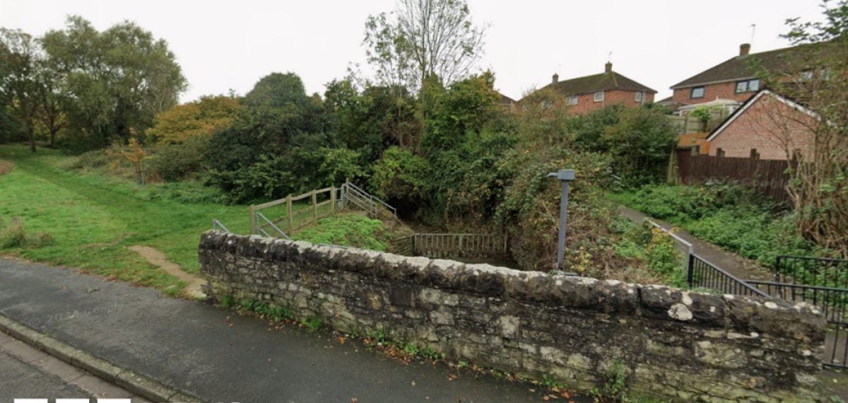 Two dogs found dead in weighted bags in Bristol and Wrexham, RSPCA investigates