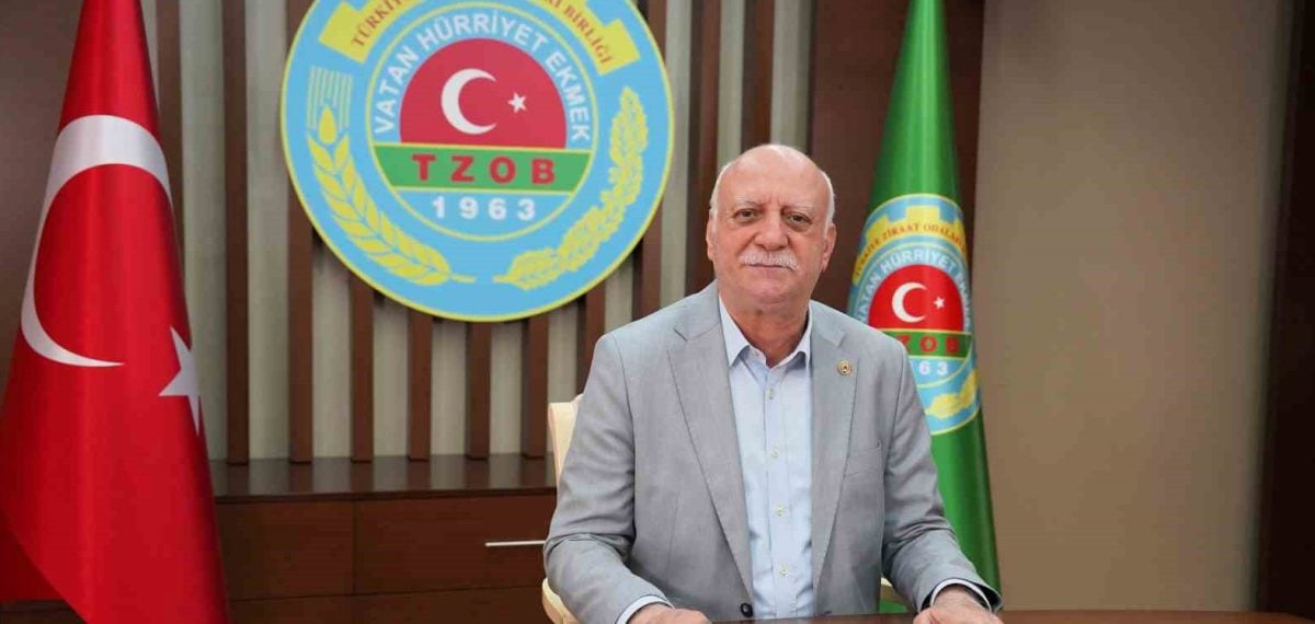 TZOB: Haziran’da markette çilek fiyatı en çok artarken üreticide kabak yükseldi