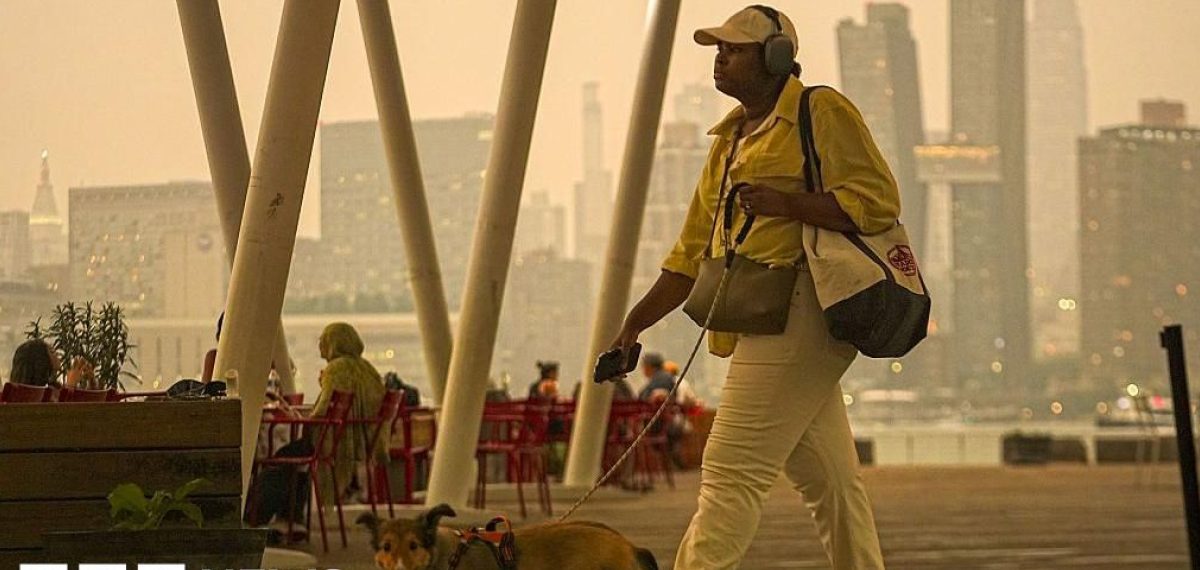 Widespread Canadian wildfires send hazardous smoke across US Midwest and East
