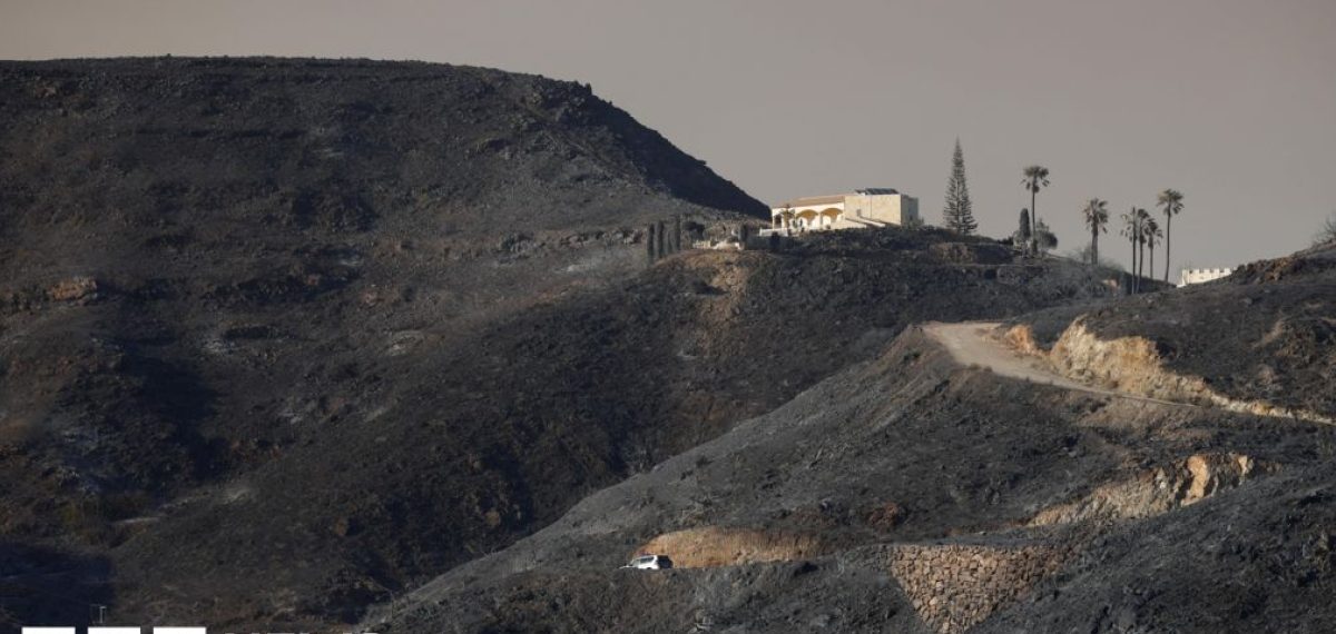 Wildfires in Almería kill 13 including seven Britons, dozens evacuated