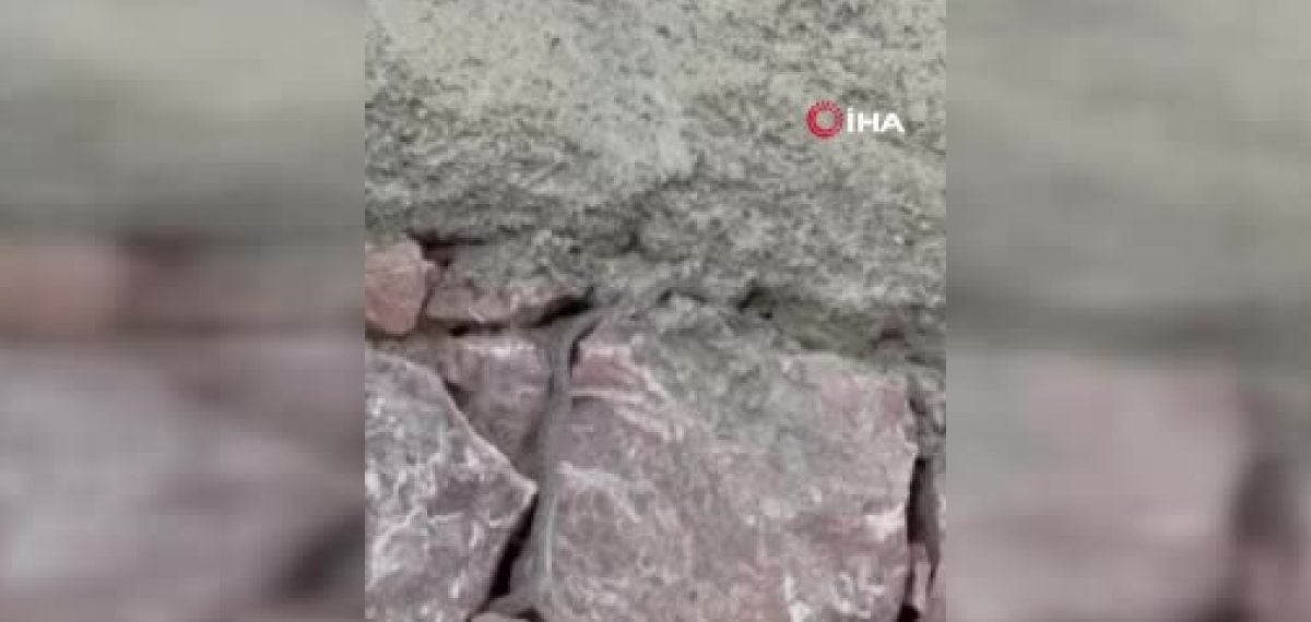 Yılanların evi istila etmesiyle Aşağıolukbaşı’nda aile yaşamı sekteye uğradı