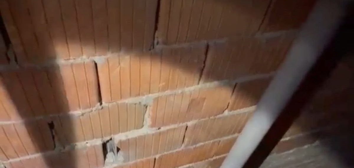 7 metrelik havalandırma boşluğundan kendi imkanlarıyla çıkan kedi kayboldu