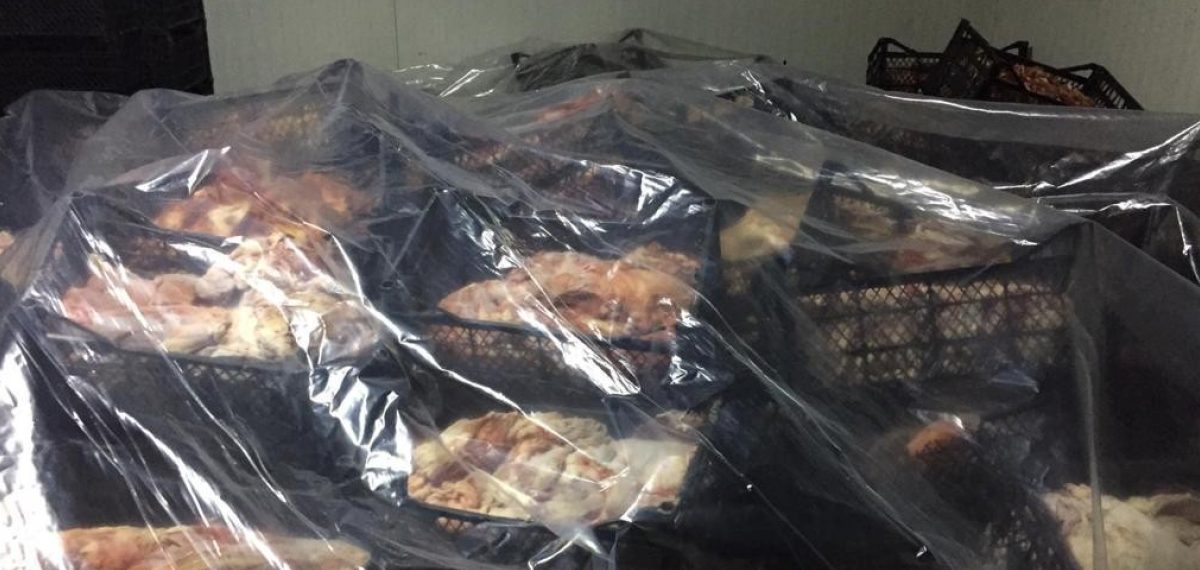 Adana merkezli soruşturmada Kuytul çifti ve 31 şüpheli hakkında gözaltı kararı