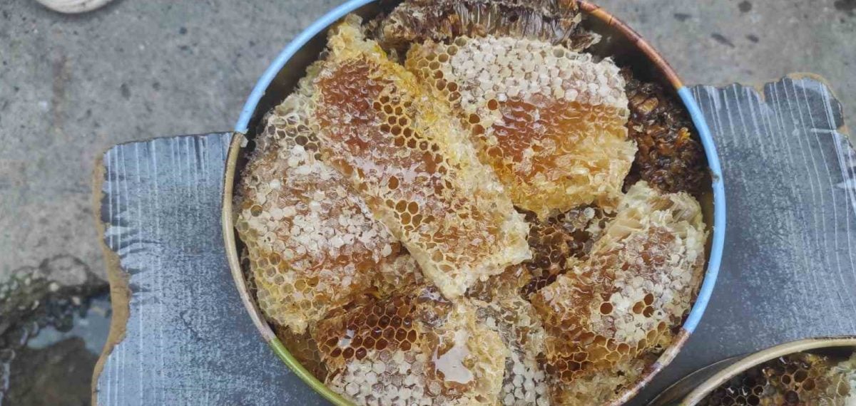 Ağaç kovuklarından çıkarılan doğal bal kilogramı 10 bin liradan alıcı buluyor