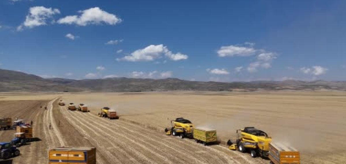 Ağrı’da buğday hasadı başladı, Vali Bozkurt üreticilere bereket diledi