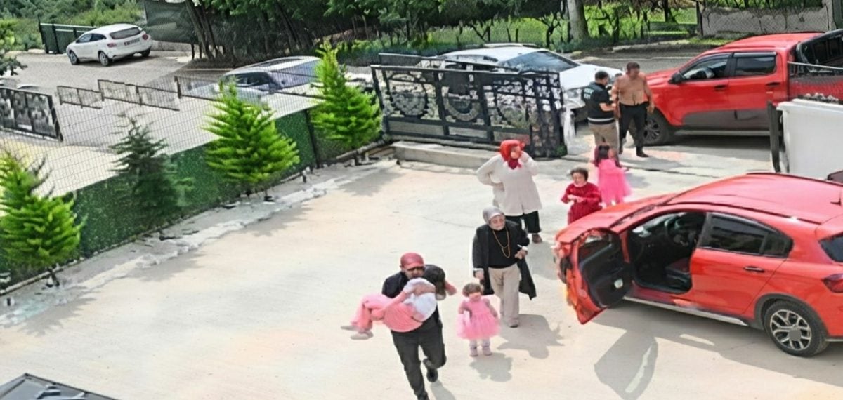 Bahçe kapısından kaçan köpek otomobilin çarpmasıyla öldü, sürücü kaçtı