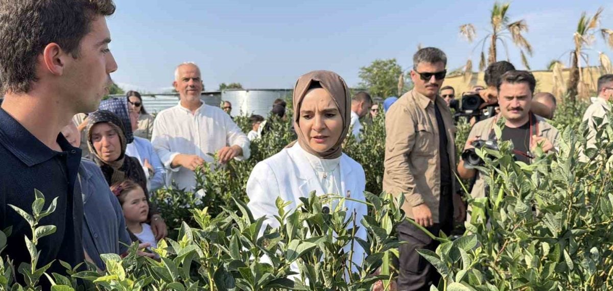 Bakan Göktaş Düzce’de yaban mersini bahçesini ziyaret etti, genç girişimci örneğini övdü