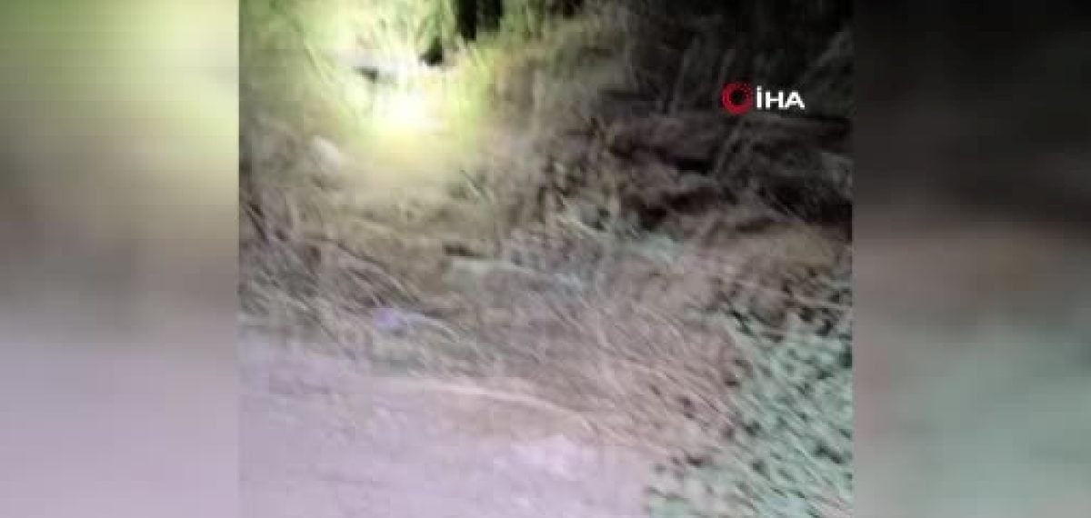 Belçika plakalı otomobil dereye uçtu, 27 yaşındaki sürücü yaşamını yitirdi