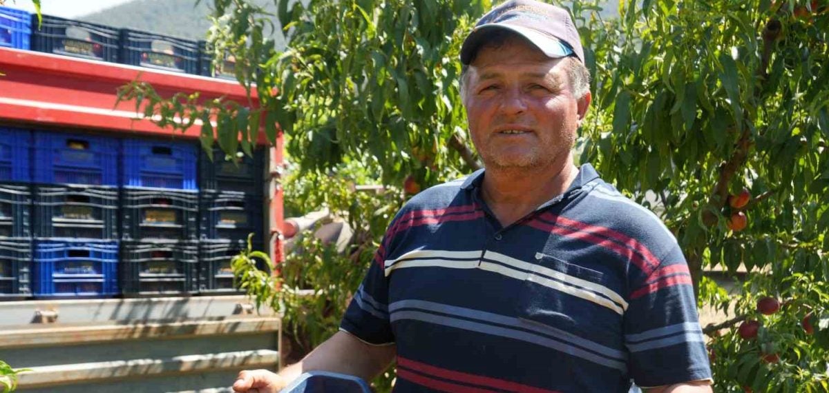 Bilecik’te nektarin fiyatları çöktü üreticiler meyve suyu alımlarına tepki gösterdi