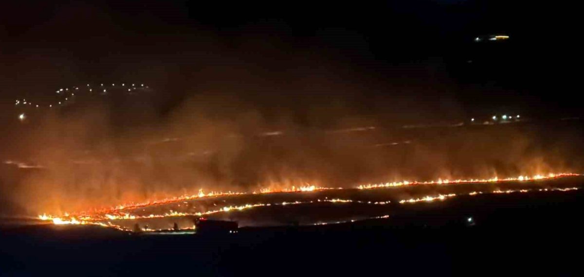 Bitlis’te Tatvan-Ahlat arasındaki yangın kontrol altına alındı, 300 dönüm zarar gördü