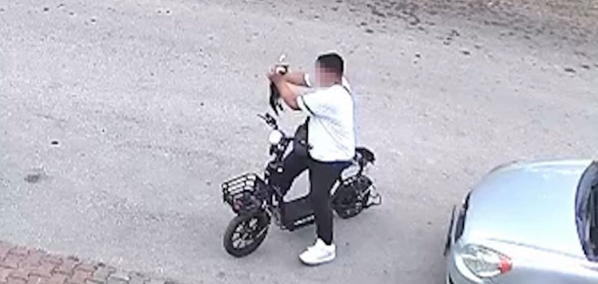 Bolu’da elektrikli bisikletli genç kucağındaki yavru kediyi boğarak öldürdü, gözaltına alınıp serbest bırakıldı