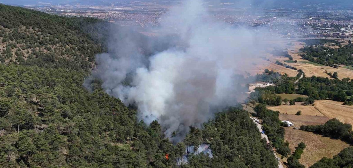 Bolu’da orman yangını ekiplerin müdahalesiyle kontrol altına alındı