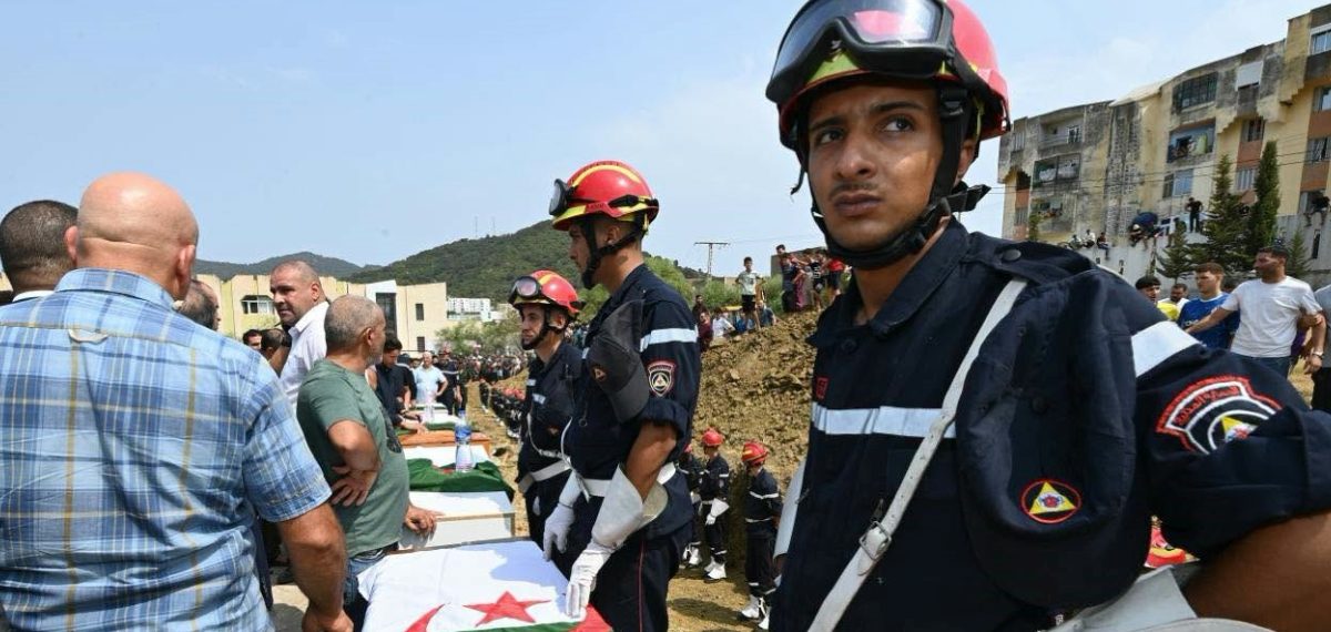 Cezayir orman yangınlarında can kaybı 73’e yükseldi, 64 yangına müdahale sürüyor