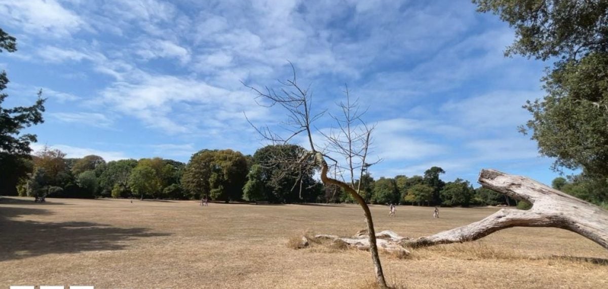 Channel Islands face their hottest summer on record, meteorologists say