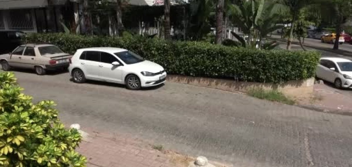 Çukurova’da ağızlıksız Pitbull’un saldırısında mahalle kedisi telef oldu
