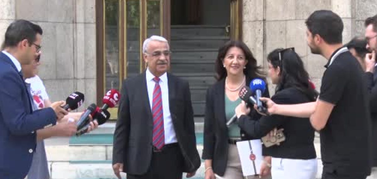 DEM Parti heyeti Cumhurbaşkanı ile görüşecek; çerçeve yasa ve uygulama önceliği