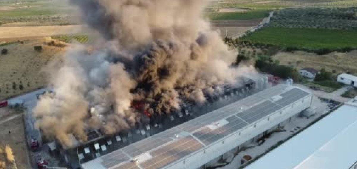 DLBA yumurta tesisinde yangın geniş alanda hasara yol açtı