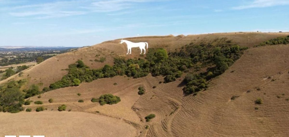 Drought likely to be declared across more of England as water levels fall