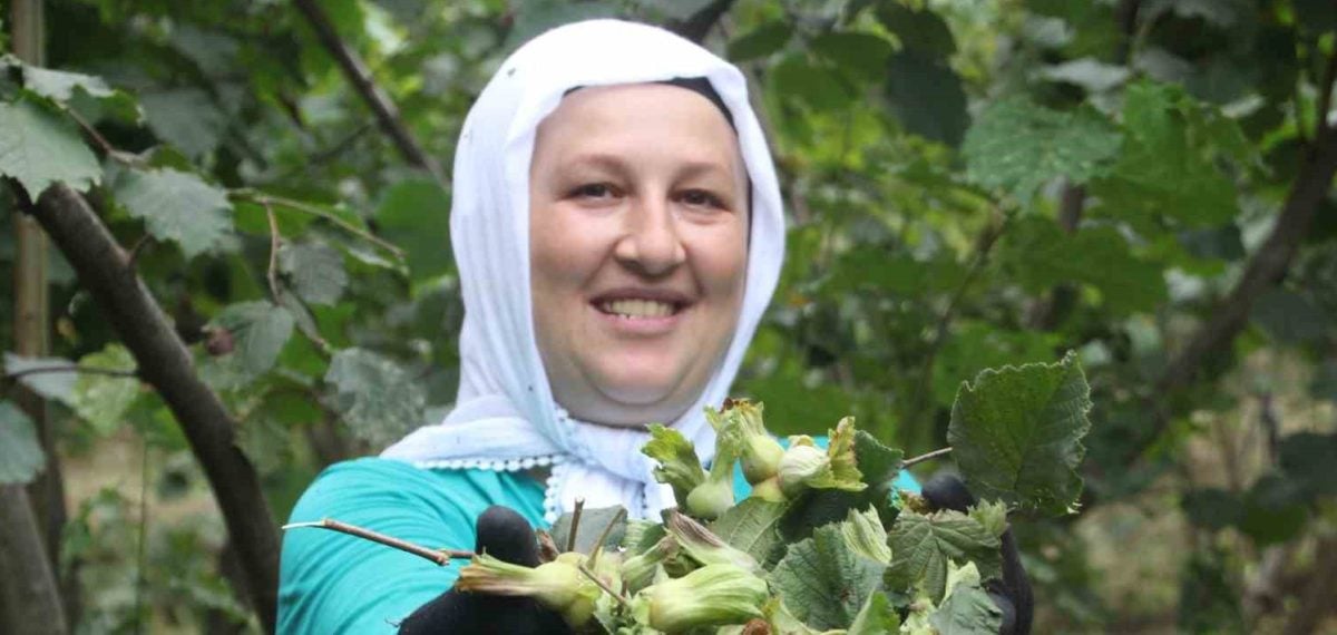 Fındık hasadı başladı, TMO 2026-2027 taban fiyatını açıkladı