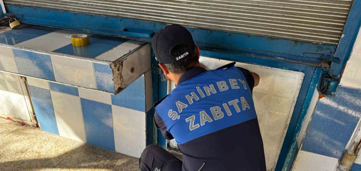 Fırında hamam böceği bulundu, işletme 7 günlüğüne kapatıldı