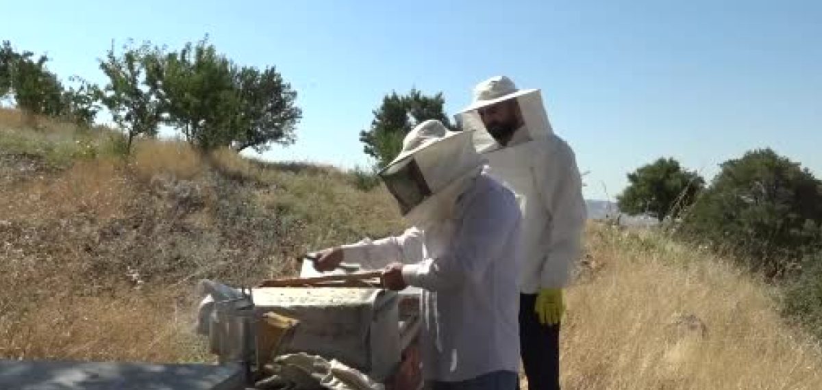Gercüş’te arıcılar hasada hazırlanıyor; rekolte ve kalite arttı