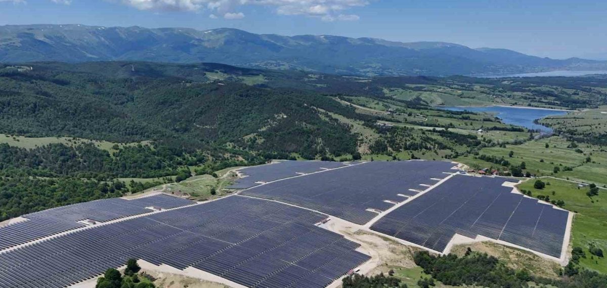 GES sahasında agrivoltaik uygulamada adaçayı ve kekik hasadı başladı