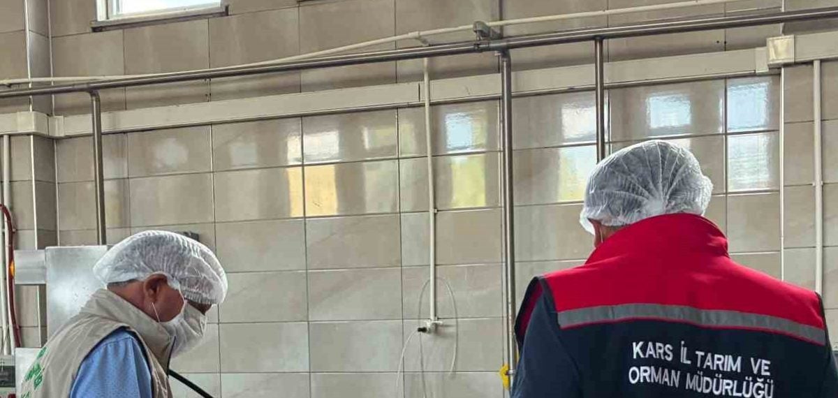 Gıda denetimleri Kars genelinde yoğunlaştırıldı, işletmeler titizlikle kontrol edildi