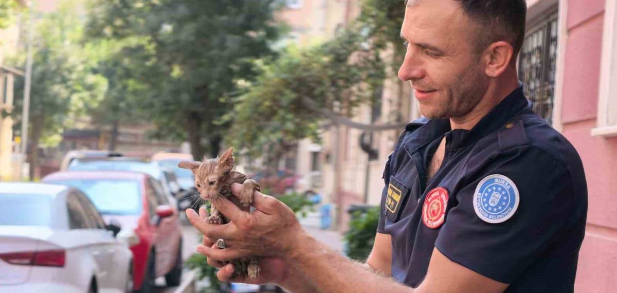İnegöl’de yağmur suyu giderine sıkışan yavru kedi itfaiye tarafından kurtarıldı