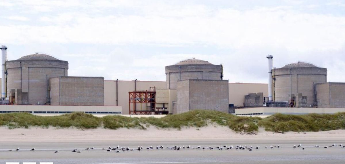 Jellyfish Influx Forces Shutdowns at Gravelines Nuclear Units
