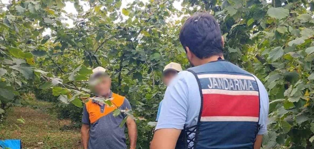 Kandıra’da jandarma 7/24 fındık tarlalarında denetim yapıyor