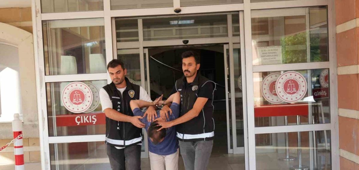 Kastamonu rezidansında iklimlendirme ile skunk üretimi yapan şüpheli tutuklandı