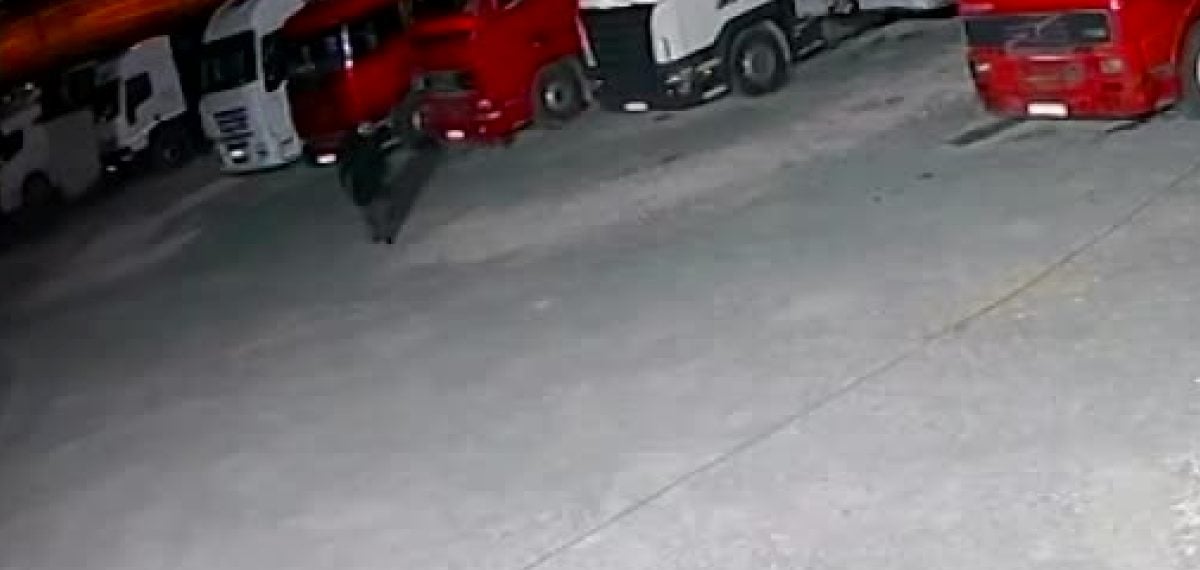 Kastamonu’da maskeli saldırgan kooperatifin pencerelerini beyzbol sopasıyla kırdı