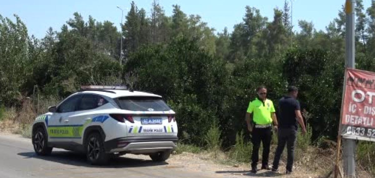 Kediye çarpmamak için manevra yapan sürücü portakal bahçesine uçtu