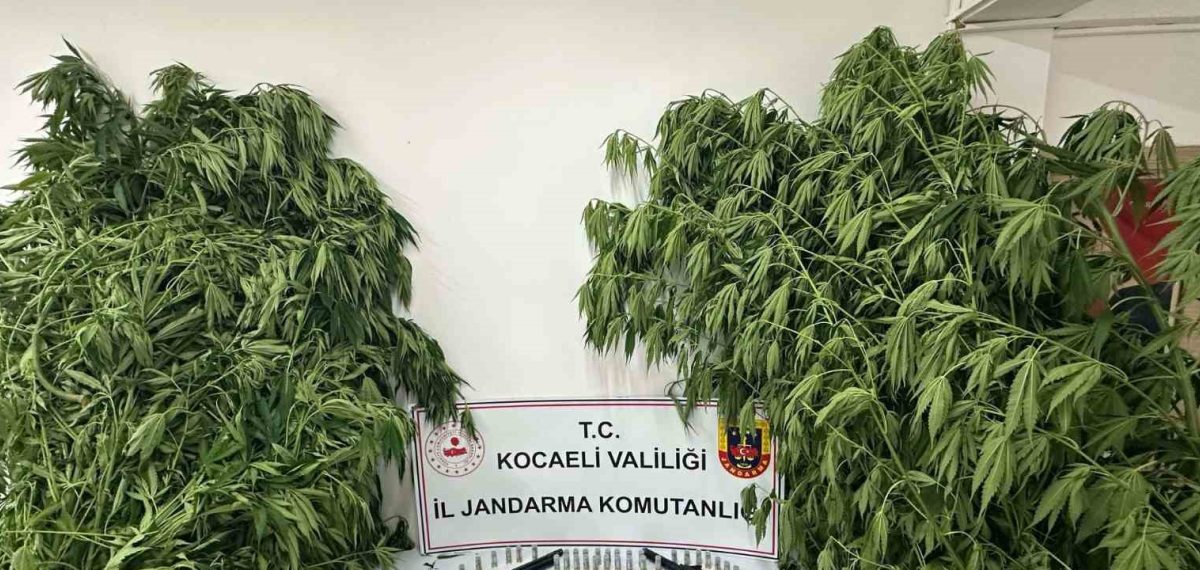 Kocaeli’de 151 operasyonda 161 şüpheliye işlem, 9 tutuklama