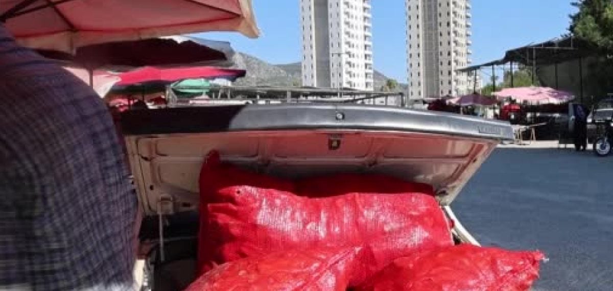 Kozan’da toroslara yüklenen salçalık biberler pazara taşınıyor