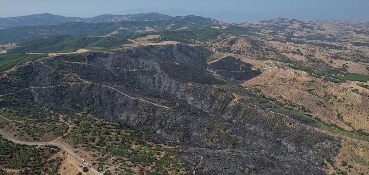 Kula’da tarla yangını ormana sıçradı, yaklaşık bin dönüm zarar gördü