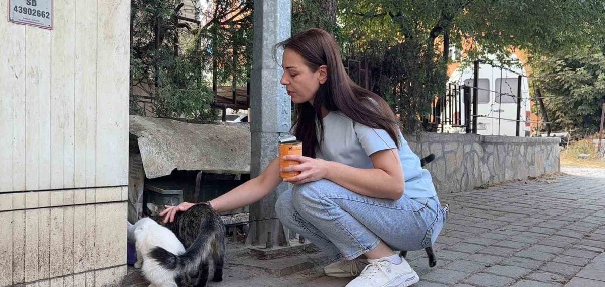 Kütahya’da başı ve ayakları kesilmiş kedi apartman önüne bırakıldı