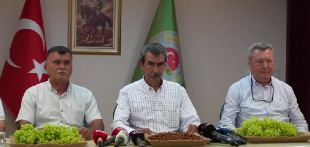 Manisa çekirdeksiz kuru üzüm üreticileri taban fiyat açıklaması bekliyor